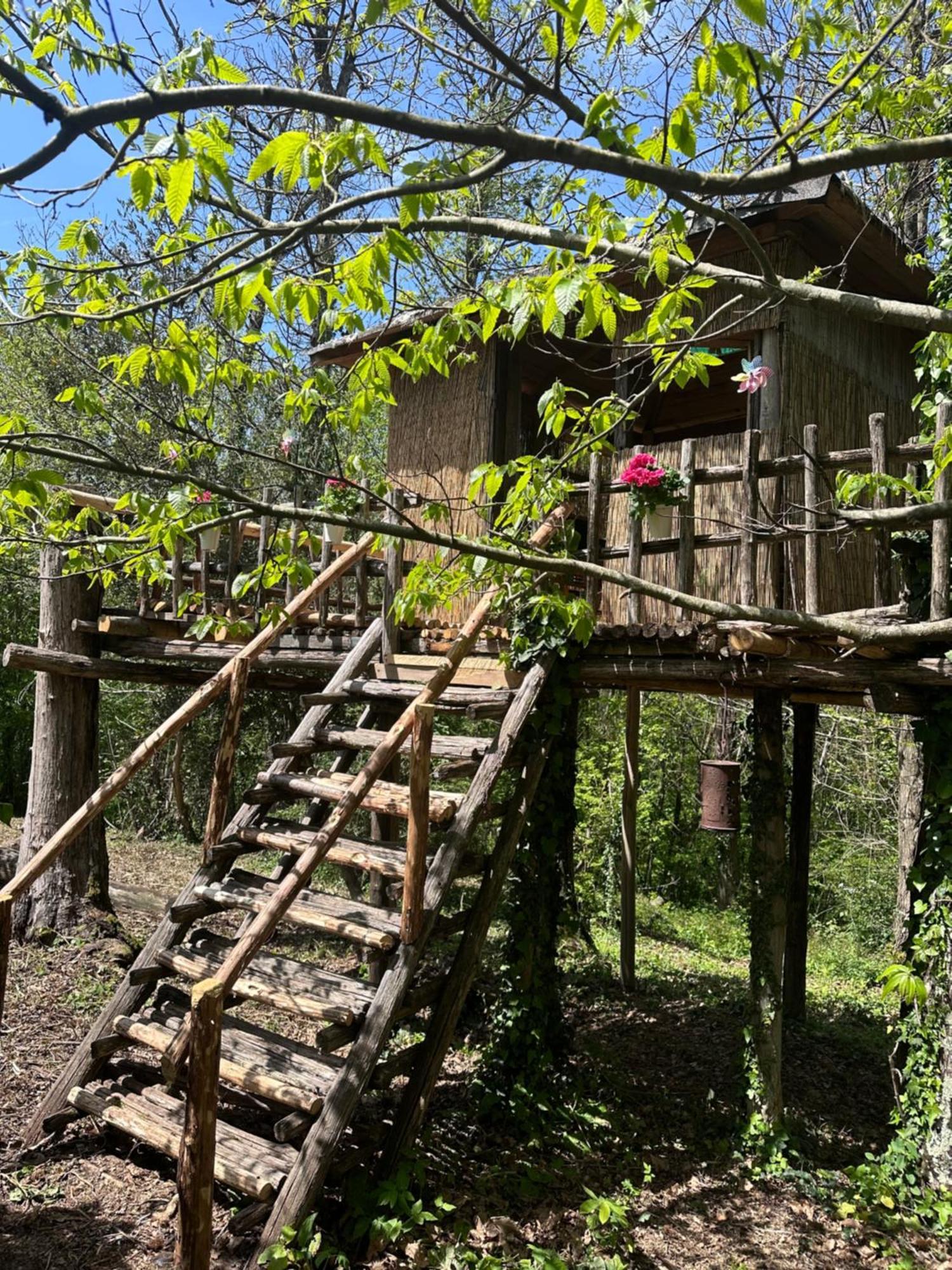 La Casa Degli Elfi Villa Manziana Esterno foto