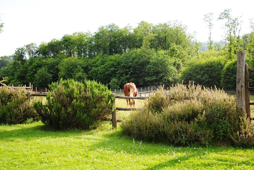 La Casa Degli Elfi Villa Manziana Esterno foto