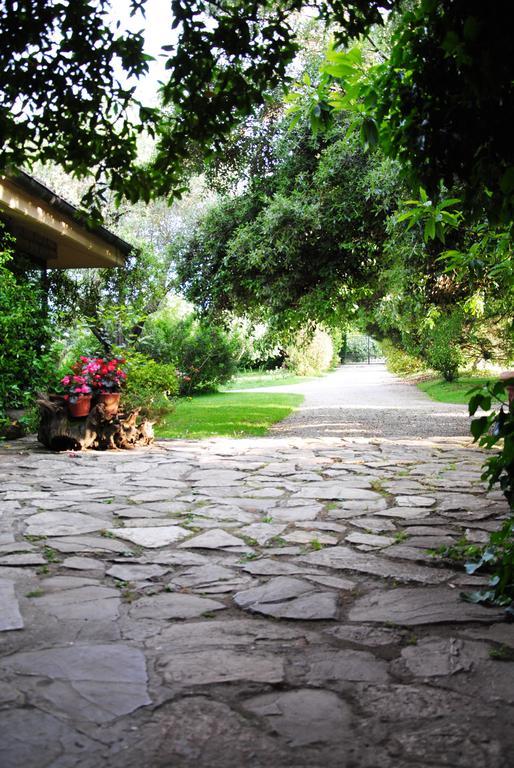 La Casa Degli Elfi Villa Manziana Esterno foto