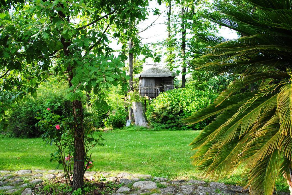 La Casa Degli Elfi Villa Manziana Esterno foto