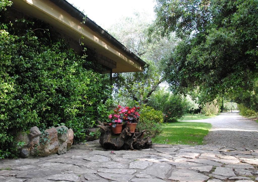 La Casa Degli Elfi Villa Manziana Esterno foto