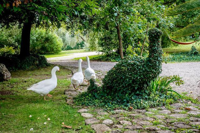 La Casa Degli Elfi Villa Manziana Esterno foto