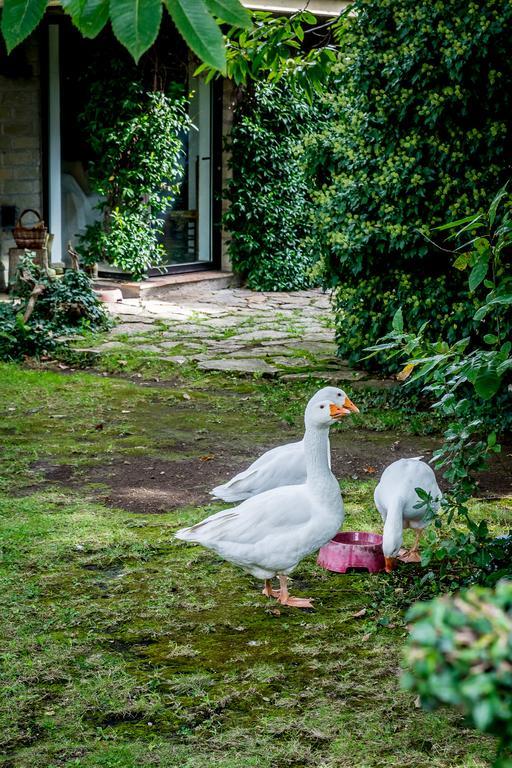 La Casa Degli Elfi Villa Manziana Esterno foto